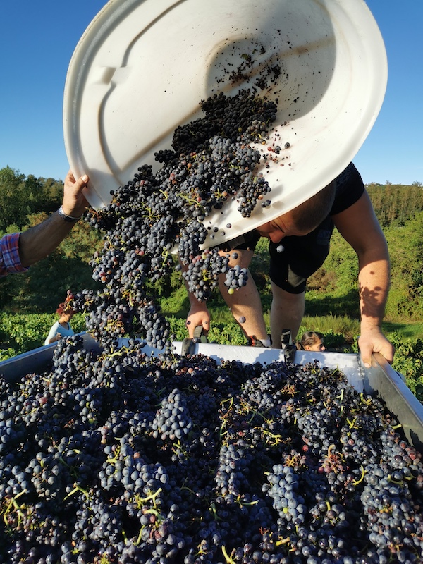 Photo  Château de Raousset - dégustation de vin à bien boire en Beaujolais BBB