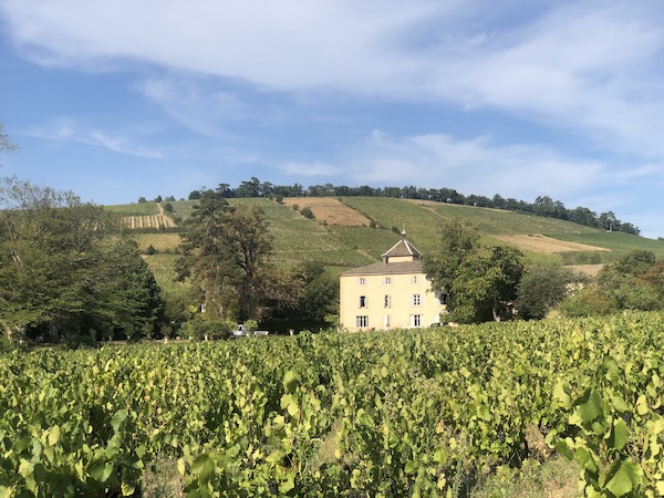 Photo Château des Moriers - Association Beaujol'art - dégustation de vin à bien boire en Beaujolais BBB