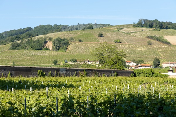 Photo Château des Ravatys - dégustation de vin à bien boire en Beaujolais BBB