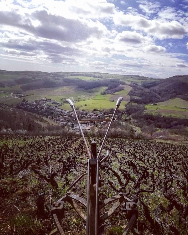 Photo Domaine Célia et David Large - dégustation de vin à bien boire en Beaujolais BBB