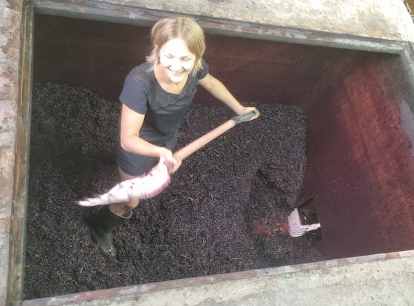Photo Domaine Chevalier-Métrat - Association Beaujol'art - dégustation de vin à bien boire en Beaujolais BBB