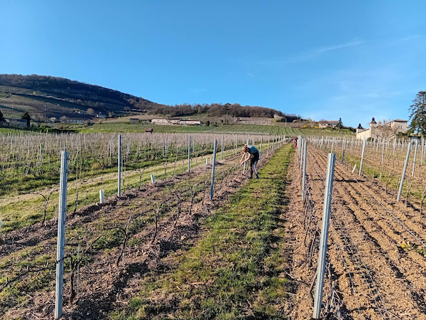 Photo Domaine Chevalier-Métrat - dégustation de vin à bien boire en Beaujolais BBB