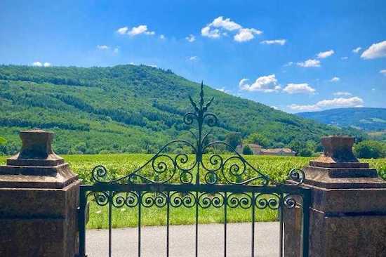 Photo Domaine du Clos du Fief - Association Beaujol'art - dégustation de vin à bien boire en Beaujolais BBB