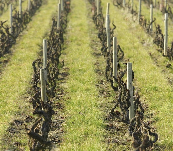 Photo Domaine du Clos du Fief - Association Beaujol'art - dégustation de vin à bien boire en Beaujolais BBB