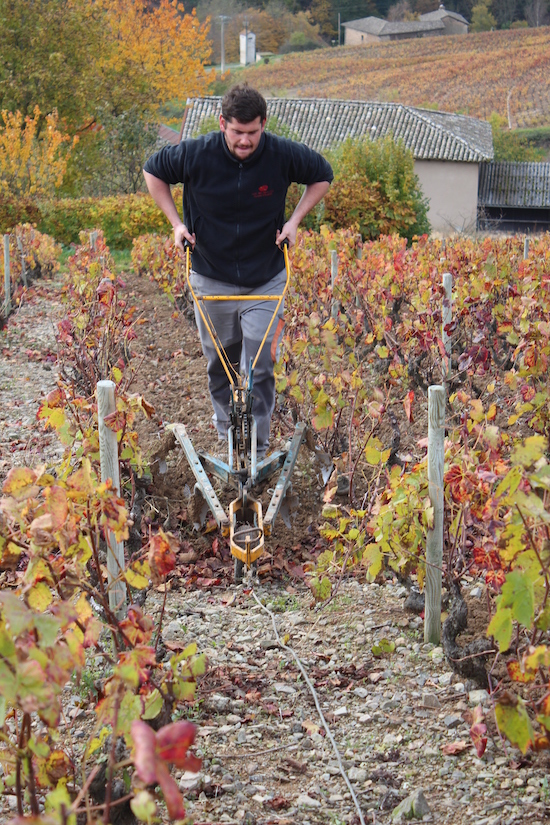 Photo Domaine du Clos du Fief - dégustation de vin à bien boire en Beaujolais BBB