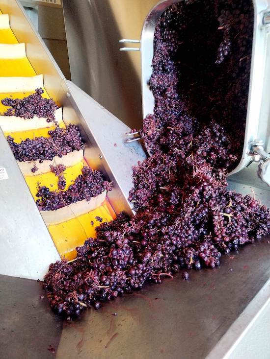 Photo Domaine de Colette - Association Beaujol'art - dégustation de vin à bien boire en Beaujolais BBB