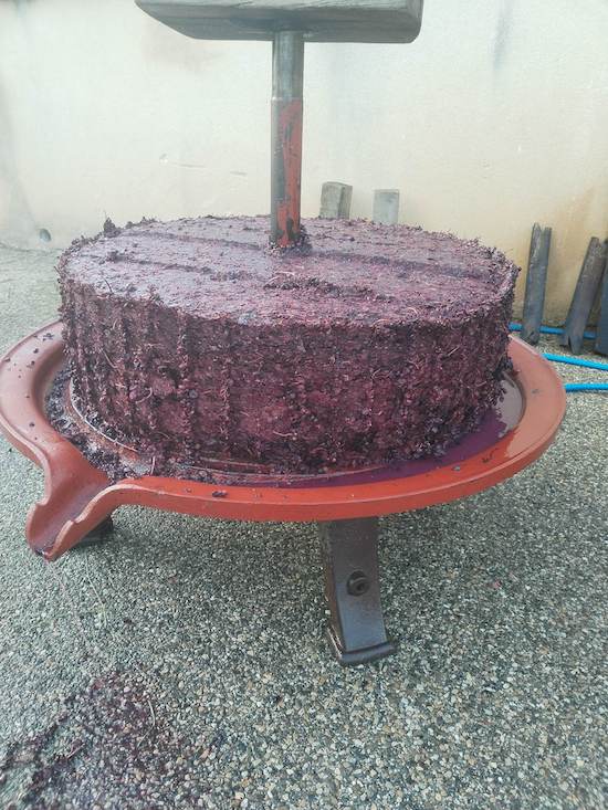 Photo Domaine de Colette - dégustation de vin à bien boire en Beaujolais BBB