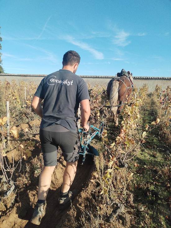 Photo Domaine de Colette - dégustation de vin à bien boire en Beaujolais BBB