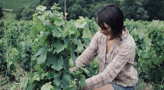 Photo Domaine de la Grosse Pierre - Association Beaujol'art - dégustation de vin à bien boire en Beaujolais BBB
