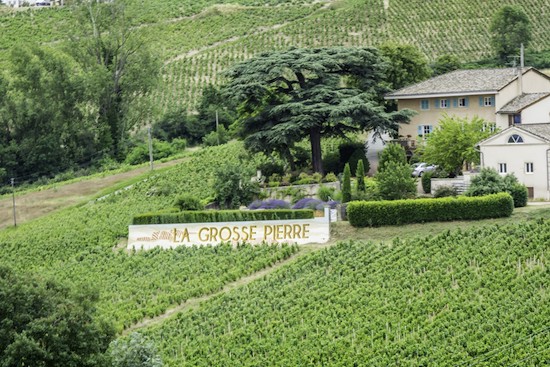 Photo Domaine de la Grosse Pierre - dégustation de vin à bien boire en Beaujolais BBB