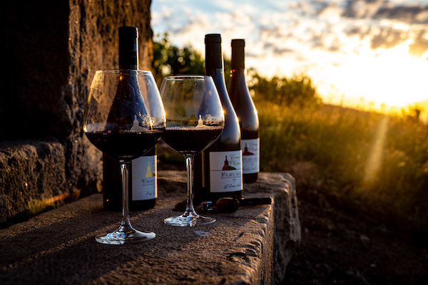 Photo Domaine de la Madone - dégustation de vin à bien boire en Beaujolais BBB