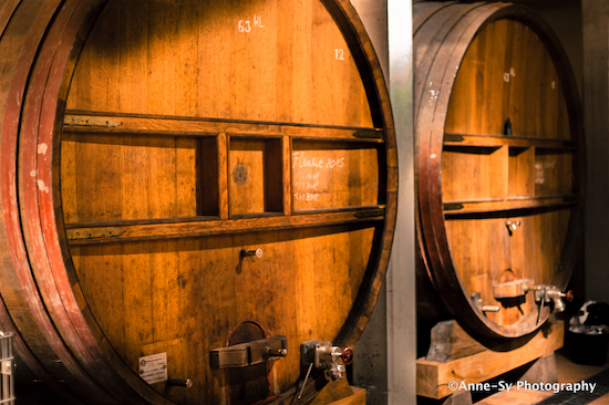 Photo Domaine des Marrans - Association Beaujol'art - dégustation de vin à bien boire en Beaujolais BBB