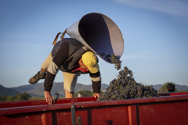 Photo Domaine des Souchons - dégustation de vin à bien boire en Beaujolais BBB