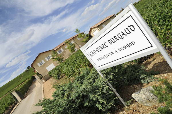 Photo Domaine Jean-Marc Burgaud - dégustation de vin à bien boire en Beaujolais BBB
