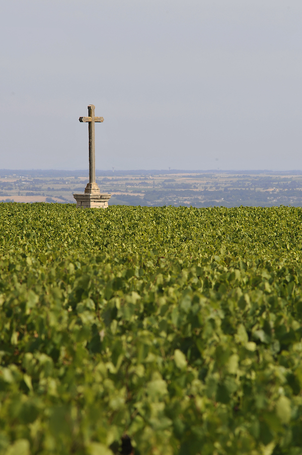 Photo Domaine Jean-Marc Burgaud - Association Beaujol'art - dégustation de vin à bien boire en Beaujolais BBB