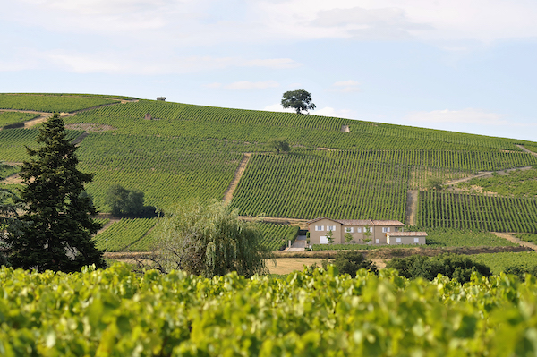 Photo Domaine Jean-Marc Burgaud - Association Beaujol'art - dégustation de vin à bien boire en Beaujolais BBB