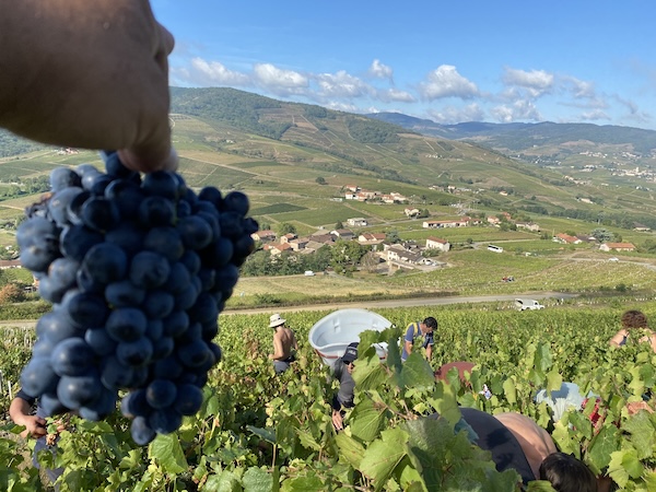 Photo Domaine Julien Duport - dégustation de vin à bien boire en Beaujolais BBB
