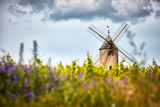 Photo Domaine Labruyère - Association Beaujol'art - dégustation de vin à bien boire en Beaujolais BBB