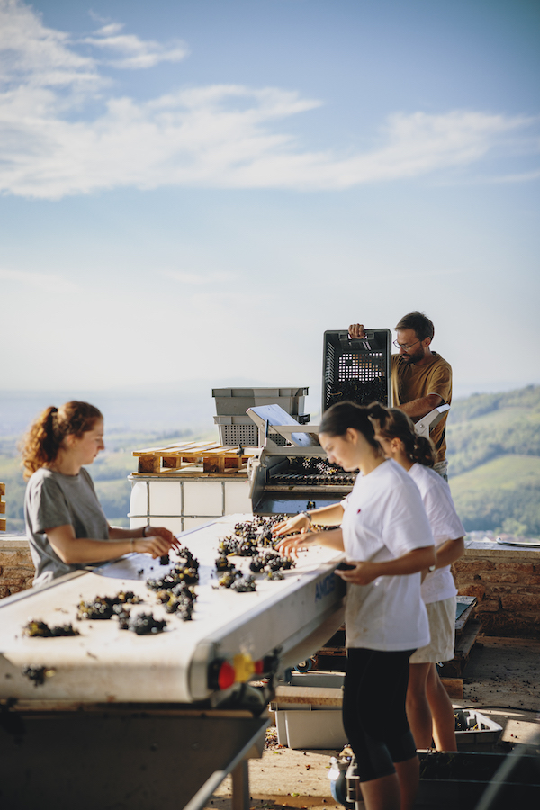 Photo Domaine Mont Bessay - Association Beaujol'art - dégustation de vin à bien boire en Beaujolais BBB