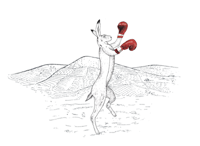 logo Domaine Mont Bessay