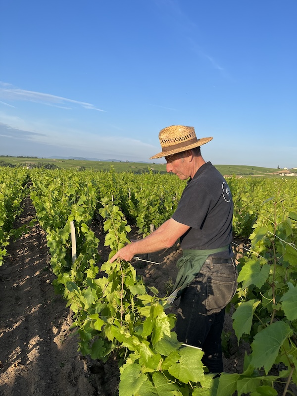 Photo Domaine Paul Janin & Fils - Association Beaujol'art - dégustation de vin à bien boire en Beaujolais BBB