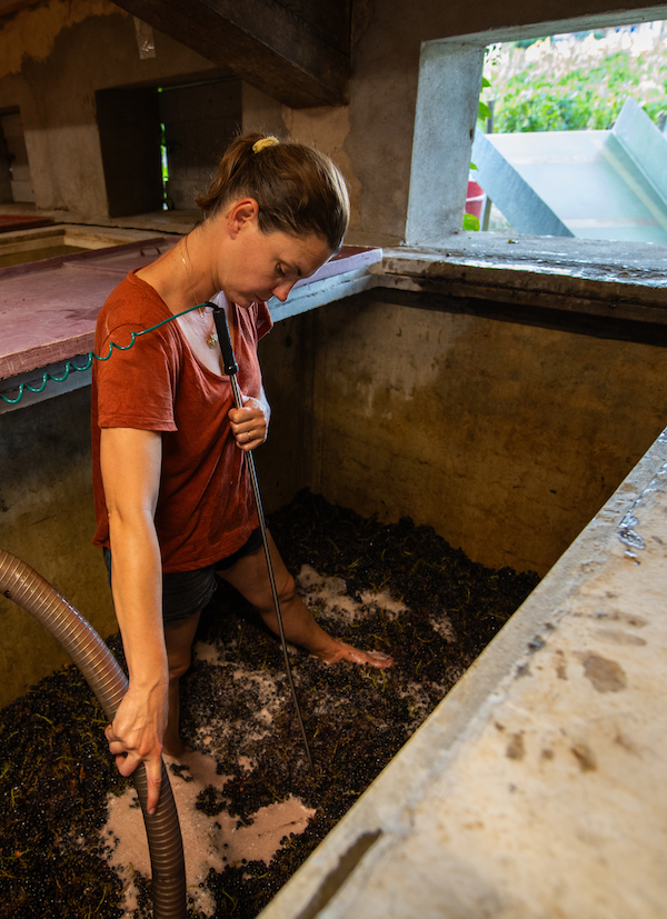 Photo Domaine Philippe Viet - Association Beaujol'art - dégustation de vin à bien boire en Beaujolais BBB