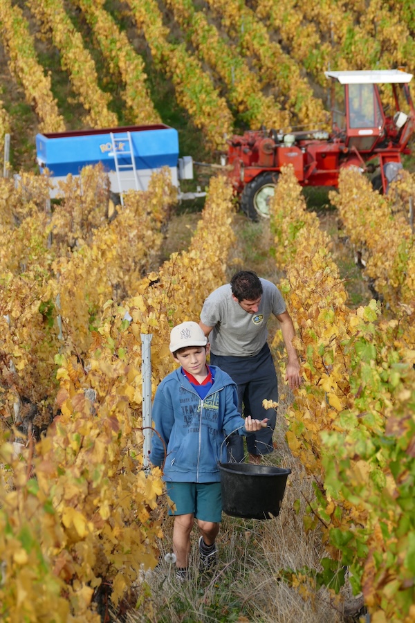 Photo Domaine Romuald Petit - Association Beaujol'art - dégustation de vin à bien boire en Beaujolais BBB