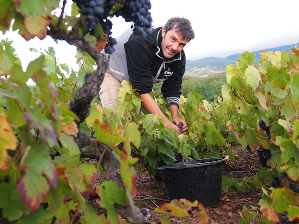 Photo Domaine Romuald Petit - dégustation de vin à bien boire en Beaujolais BBB