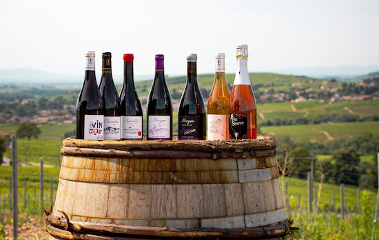 Photo Domaine Steeve Charvet - Association Beaujol'art - dégustation de vin à bien boire en Beaujolais BBB