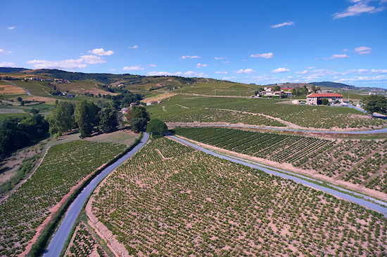 Photo Domaine Steeve Charvet - dégustation de vin à bien boire en Beaujolais BBB