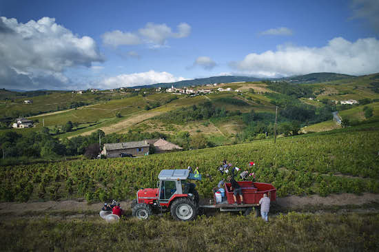 Photo Domaine Steeve Charvet - dégustation de vin à bien boire en Beaujolais BBB