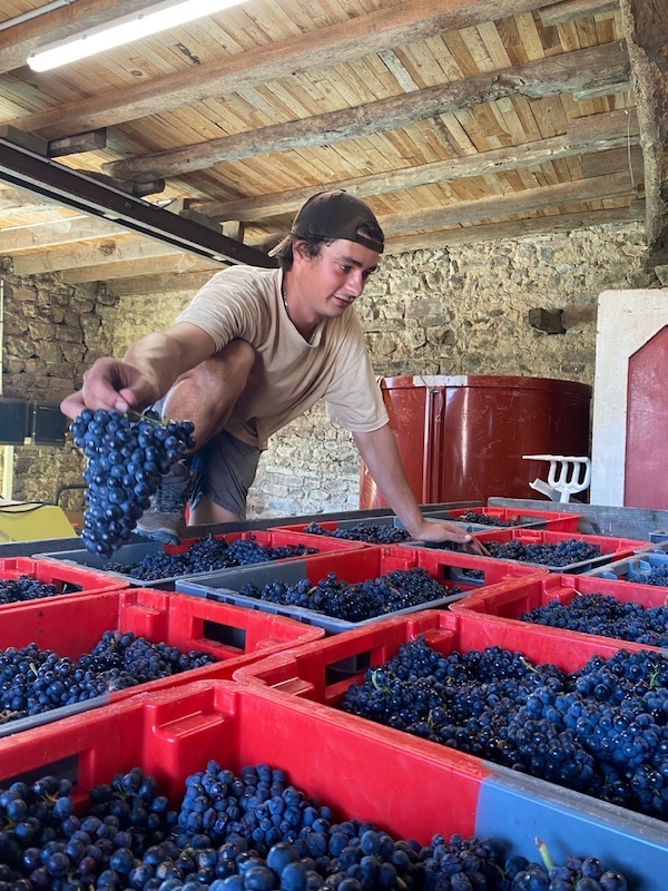 Photo Domaine Pierre Van Oost - Association Beaujol'art - dégustation de vin à bien boire en Beaujolais BBB
