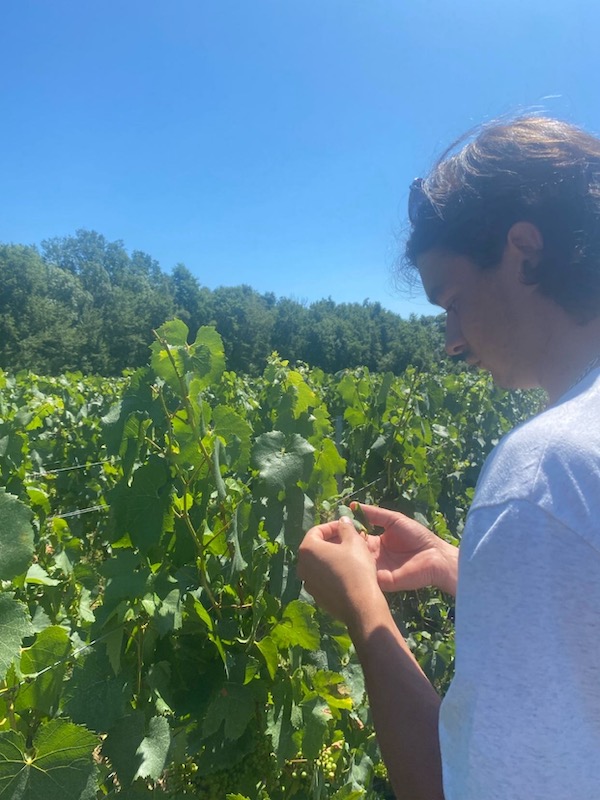 Photo Domaine Pierre Van Oost - dégustation de vin à bien boire en Beaujolais BBB