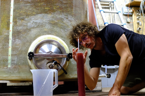 Photo Domaine L'Oiseau de passage - dégustation de vin à bien boire en Beaujolais BBB