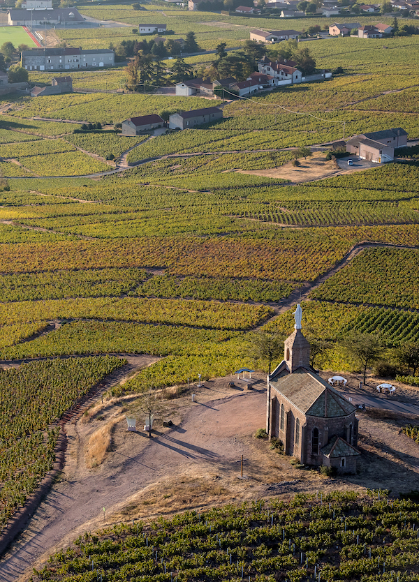 Photo Maison Piron - dégustation de vin à bien boire en Beaujolais BBB