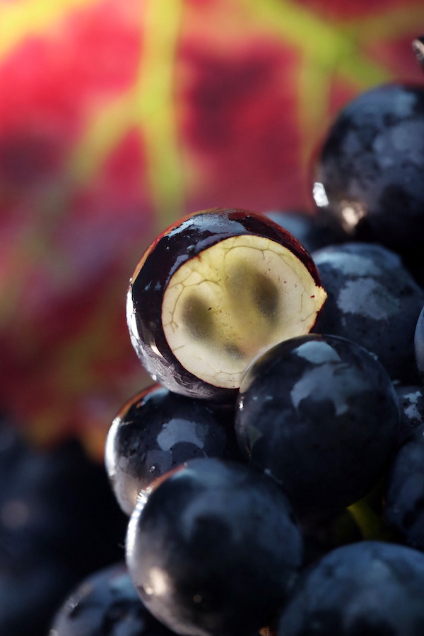 Photo Maison Piron - Association Beaujol'art - dégustation de vin à bien boire en Beaujolais BBB