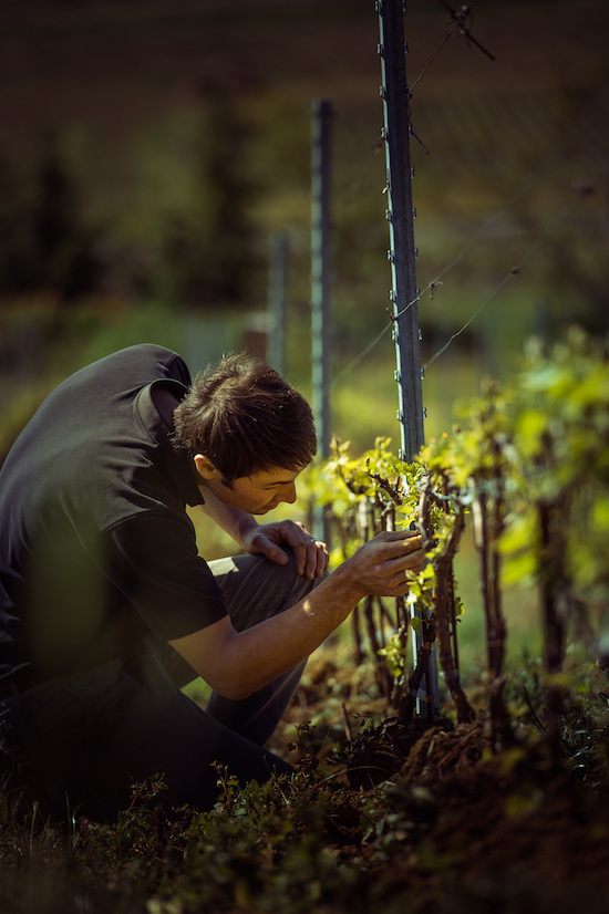 Photo Château Thivin - Association Beaujol'art - dégustation de vin à bien boire en Beaujolais BBB