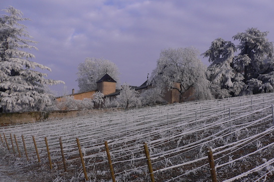 Photo Château Thivin - dégustation de vin à bien boire en Beaujolais BBB