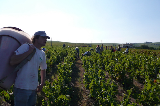 Photo Richard Rottiers - Association Beaujol'art - dégustation de vin à bien boire en Beaujolais BBB