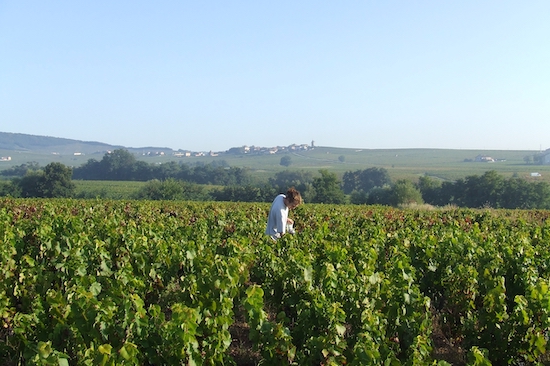Photo Richard Rottiers - Association Beaujol'art - dégustation de vin à bien boire en Beaujolais BBB