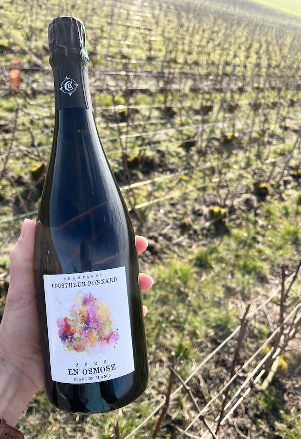 Photo Domaine Coustheur Bonnard - invité de l'Association Beaujol'art - dégustation de vin à bien boire en Beaujolais BBB