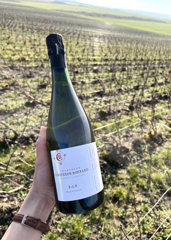 Photo Domaine Coustheur Bonnard - invité de l'Association Beaujol'art - dégustation de vin à bien boire en Beaujolais BBB