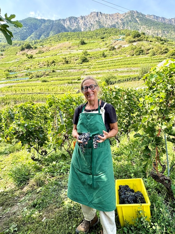 Photo Domaine Chappaz - invité de l'Association Beaujol'art - dégustation de vin à bien boire en Beaujolais BBB