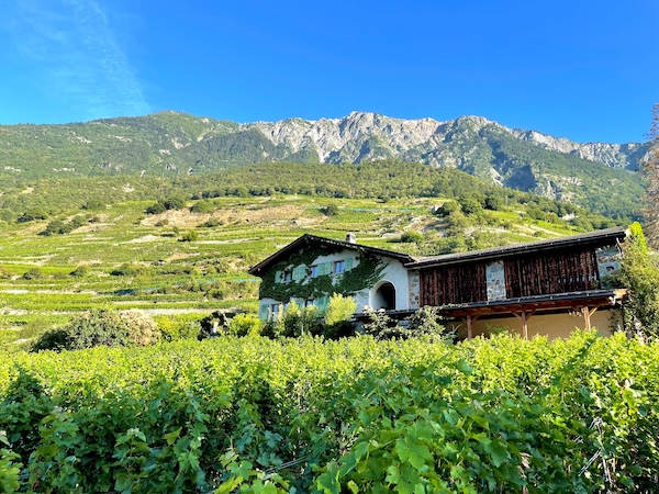 Photo Domaine Chappaz - invité de l'Association Beaujol'art - dégustation de vin à bien boire en Beaujolais BBB