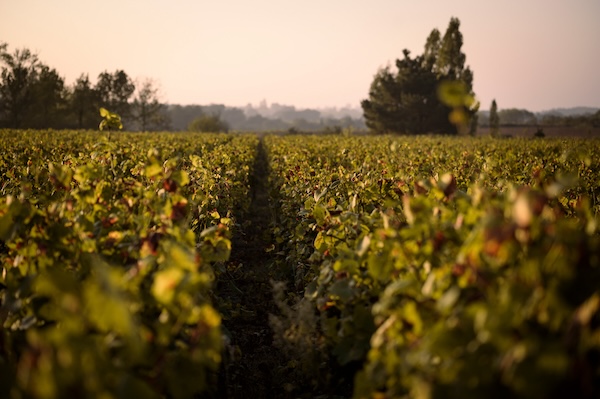 Photo Domaine de l'Écu - invité de l'Association Beaujol'art - dégustation de vin à bien boire en Beaujolais BBB