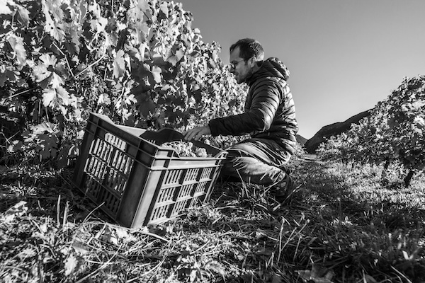 Photo Domaine Les Hauts Lieux - invité de l'Association Beaujol'art - dégustation de vin à bien boire en Beaujolais BBB