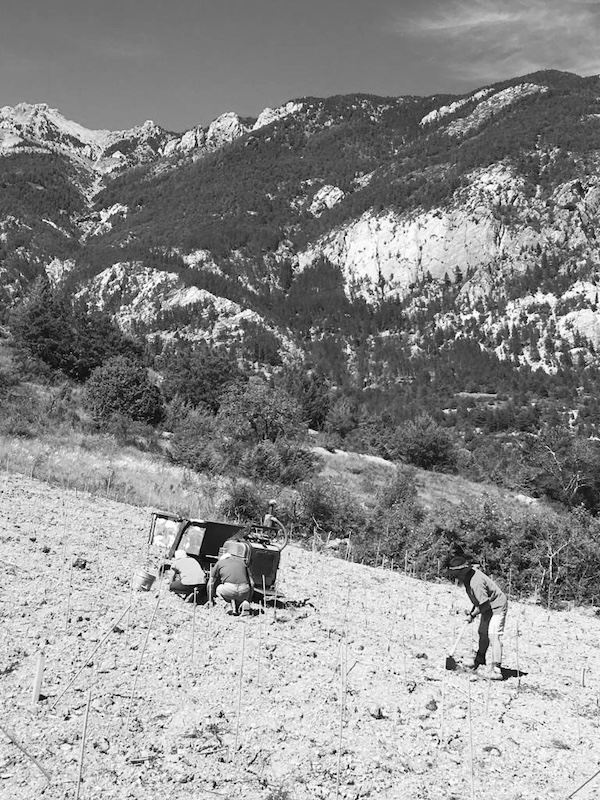 Photo Domaine Les Hauts Lieux - invité de l'Association Beaujol'art - dégustation de vin à bien boire en Beaujolais BBB