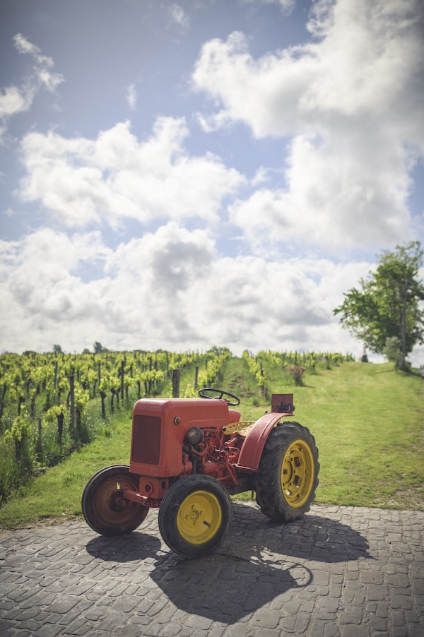 Photo Château Franc Baudron - invité de l'Association Beaujol'art - dégustation de vin à bien boire en Beaujolais BBB