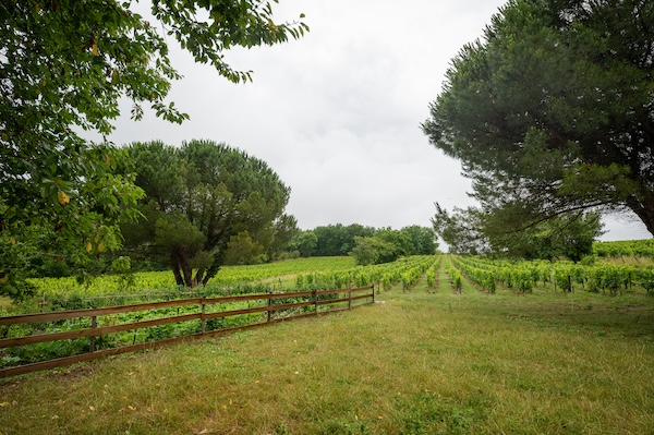 Photo Château Franc Baudron - invité de l'Association Beaujol'art - dégustation de vin à bien boire en Beaujolais BBB