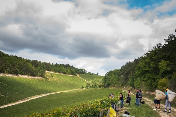 Photo Domaine des Malandes - invité de l'Association Beaujol'art - dégustation de vin à bien boire en Beaujolais BBB